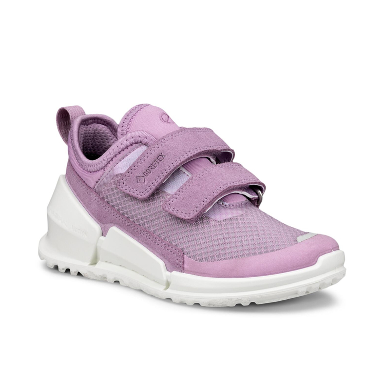 Фиолетовый Фиолетовый