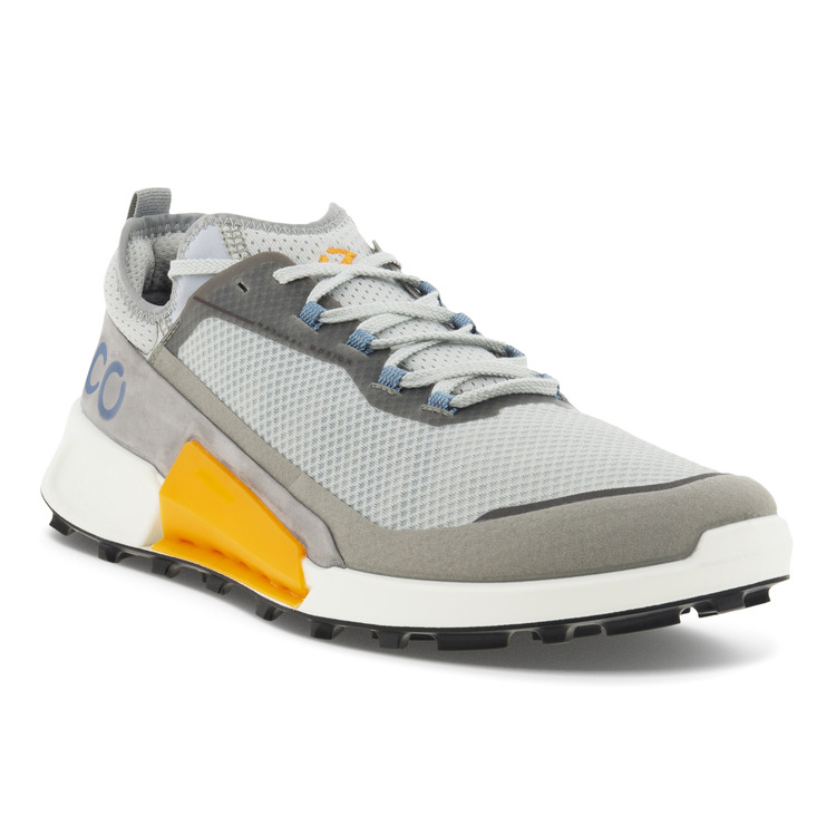 Кроссовки BIOM 2.1 X COUNTRY M Серый