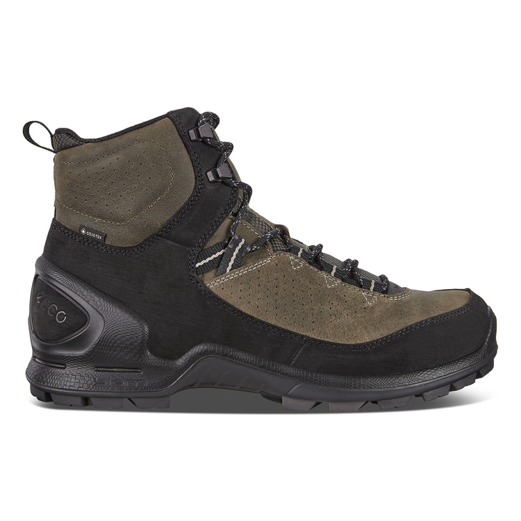 ecco biom terrain akka boa gtx