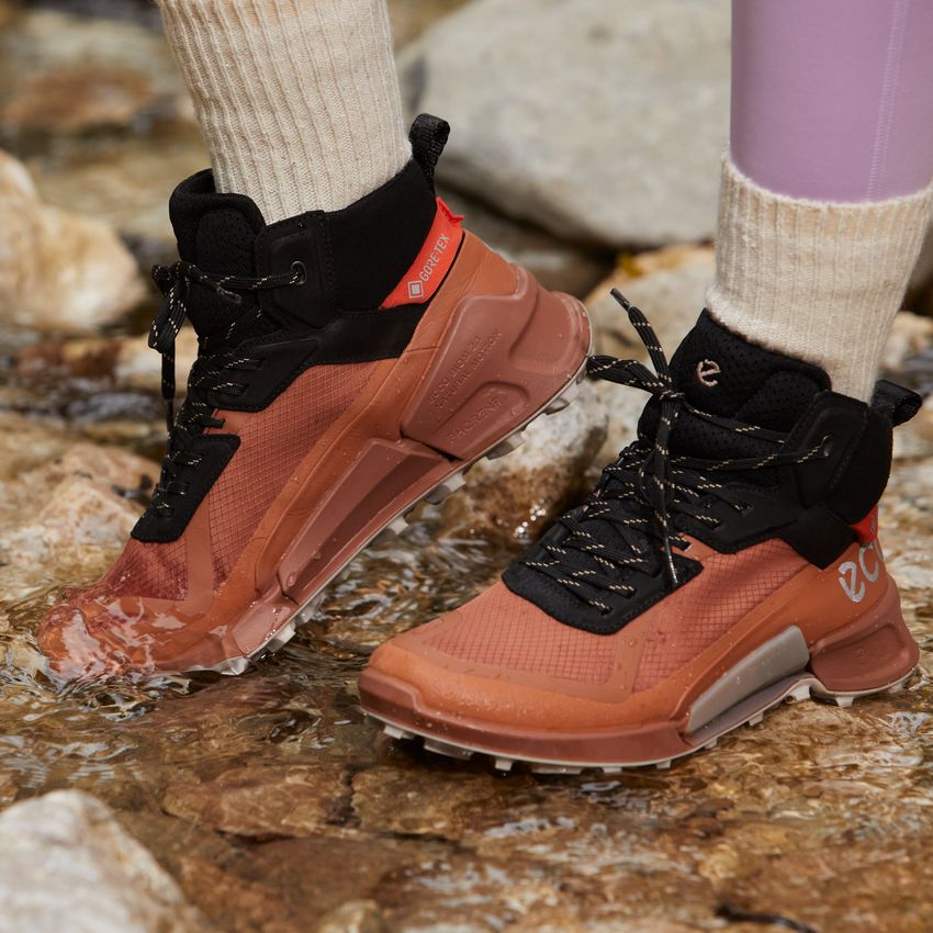 ecco 21